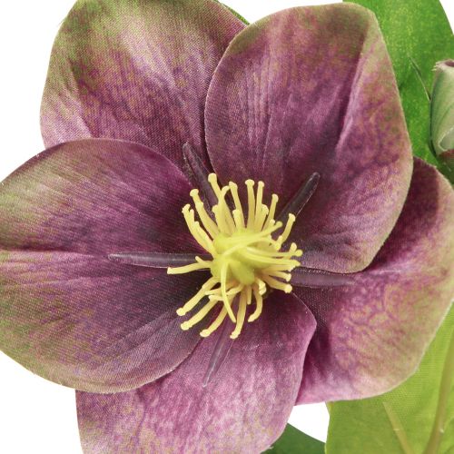 Artikel Künstliche Christrosen Lila Blüte - Deko-Hingucker Eleganz L35cm 6er-Set