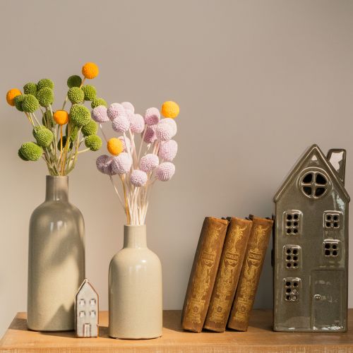 Artikel Craspedia Trockenblumen 55cm 20 Stiele für Tischdekoration Innenbereich