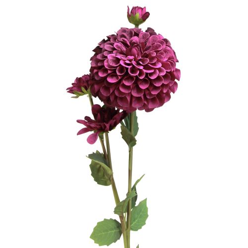 Floristik21 Dahlien Kunstblumen mit Lila Blüte Ø10cm L80cm 2St für Floristik & Dekoration