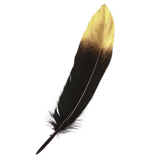 Floristik21 Gänsefedern Deko Schwarz-Gold 15-20cm 50Stück für luxuriöse Akzente und kreatives Gestalten