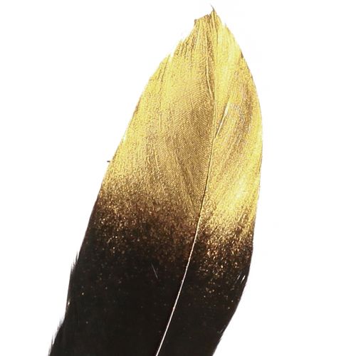 Artikel Gänsefedern Deko Schwarz-Gold 15-20cm 50Stück für luxuriöse Akzente und kreatives Gestalten