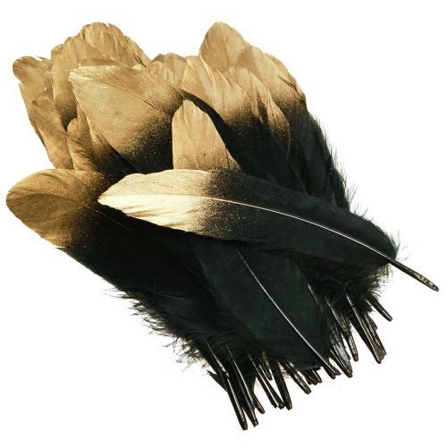 Artikel Gänsefedern Deko Schwarz-Gold 15-20cm 50Stück für luxuriöse Akzente und kreatives Gestalten