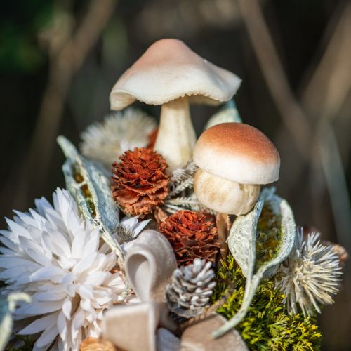 Floristik21 Deko Pilze zum Stecken Braun Dekopilze Herbst 3,5/5,5cm 16 St