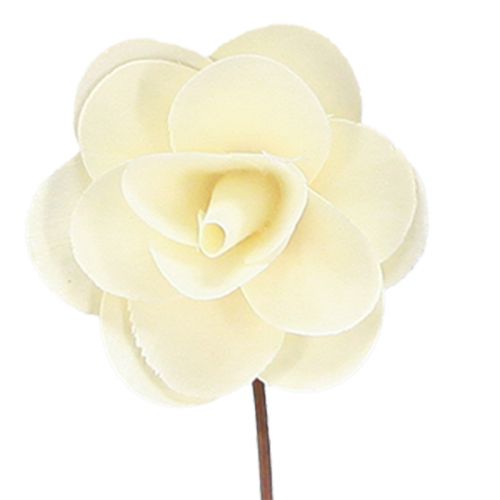 Floristik21 Deko Rosen Creme Künstliche Rosen aus Holz Ø7cm 12 St