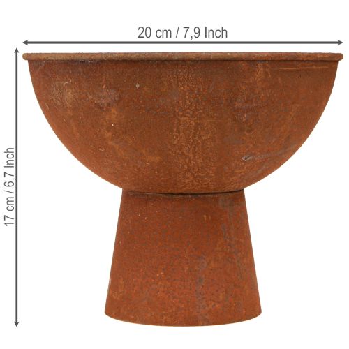 Deko Schale Rost Metall Ø20,5cm 2er Set Vintage Garten Pokalschale | Floristik21.de
