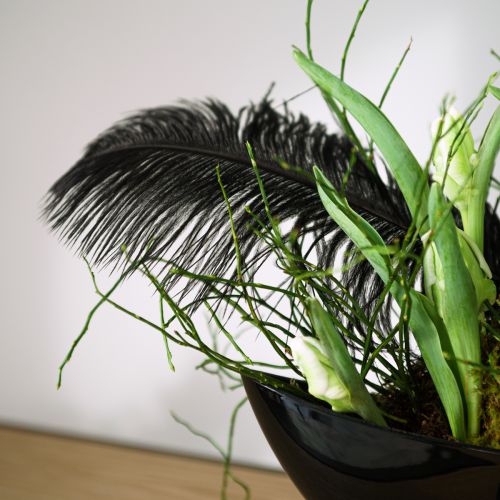 Artikel Deko Straußenfedern Schwarze Federn 38-40cm 2 St
