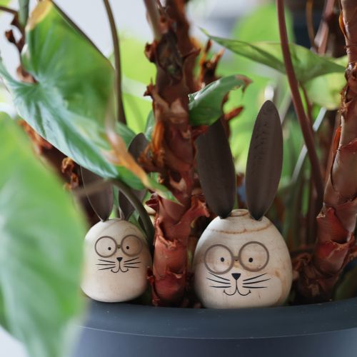 Artikel Dekorativer Holz-Osterhase mit Metall-Brille und witzigen Details im 2er-Set, 19 cm hoch
