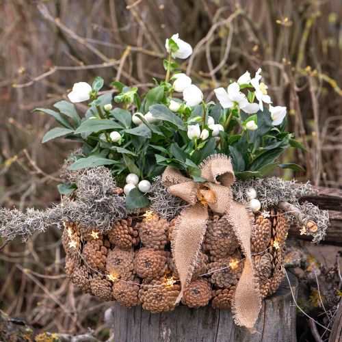 Artikel Dekoschale Kiefernzapfen Natur Braun Ø35cm H15cm - Natürliches Schmuckstück für Tischdeko & Raumgestaltung