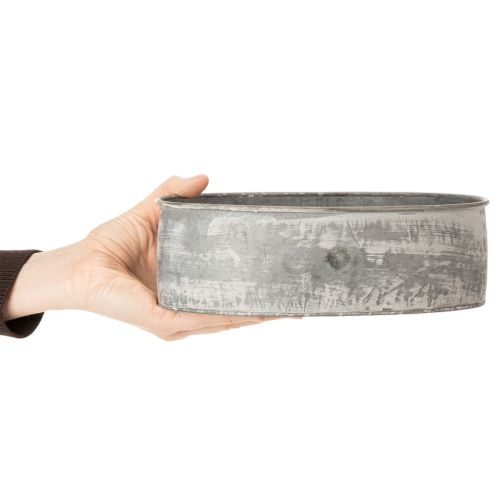 Dekoschale Metall Steckschale Oval Grau L22,5/19,5/16cm 3er-Set | Floristik21.de