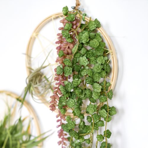 Artikel Echeveria Künstliche Hängepflanze in Grün - Dekorative Kunstpflanze B12cm L50cm