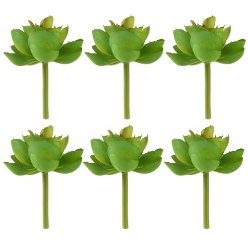 Artikel Echeveria Künstliche Sukkulenten Grün 7cm 6er-Set für Dekoration und Floristik