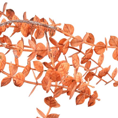 Artikel Eukalyptus Orange Herbstdeko Künstlich Hänger 150cm