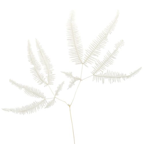 Artikel Gebleichte Farnwedel Konserviert, Pflegeleicht, Deko-Element Weiß 45cm 10St