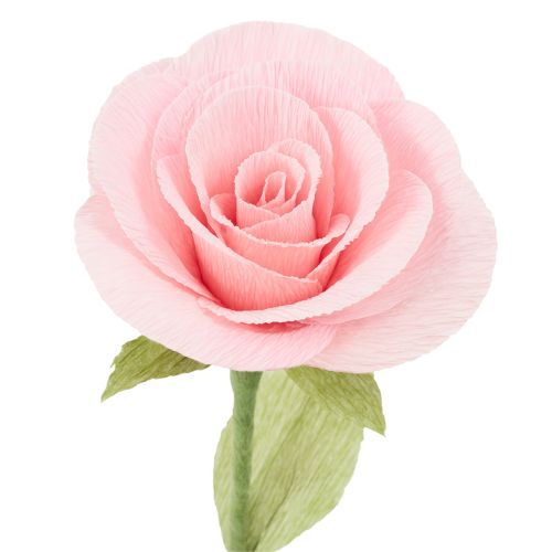 Artikel Floristen-Krepppapier Grasgrün 50x250 cm 5er Pack wasserfest lichtecht