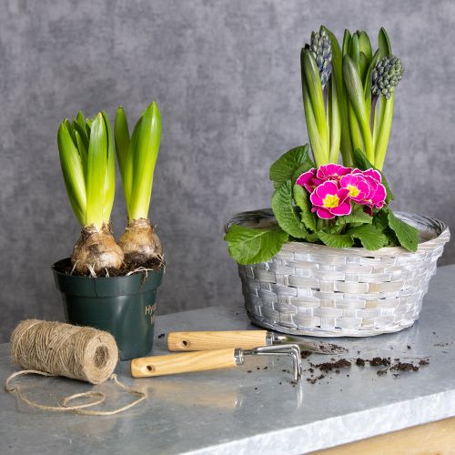 Artikel Geflochtener Blumenkorb aus Bambus 23cm, 6 Stück, zeitlos natürliche Deko