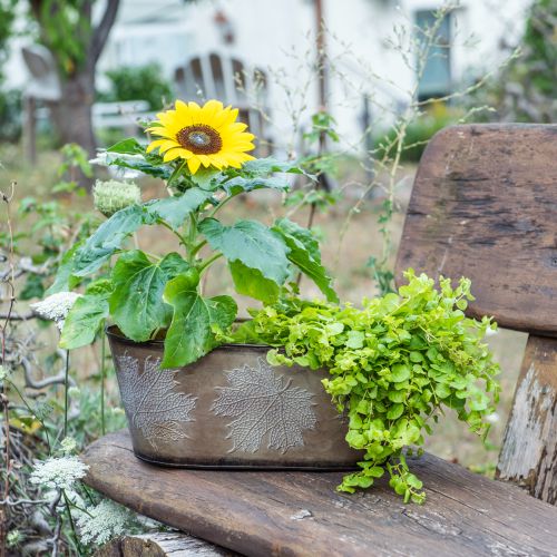 Artikel Herbsttopf, Pflanzschale mit Blättern, Metalldeko Golden L38cm H15cm