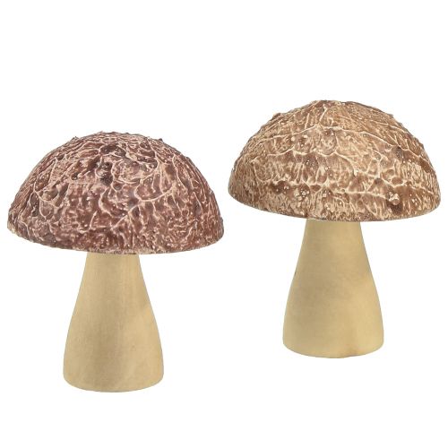 Floristik21 Holzpilze Deko Pilze Tischdeko Herbst Braun Natur 5×6cm 8 St