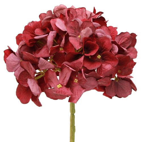 Floristik21 Hortensie Künstlich Burgund Große Blüte Ø15cm L58cm 2St