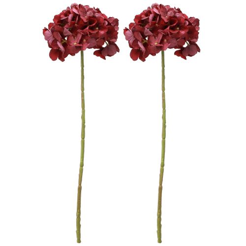 Artikel Hortensie Künstlich Burgund Große Blüte Ø15cm L58cm 2St