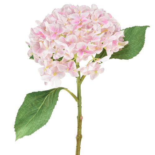 Floristik21 Hortensie künstlich Hellrosa Kunstblume Rosa Ø15,5cm 45cm