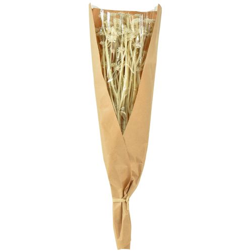 Artikel Künstliches Currykraut Weiß Beige Langlebig Dekorativ L28cm 12 Stück 1 Bund