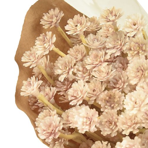 Artikel Italienische Strohblume Künstlich Rosa L28cm - Dekorative Trockenblumen-Optik