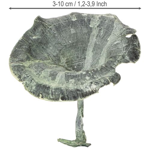 Artikel Kalix Pilz Grün, Weiß gewaschen 100 St