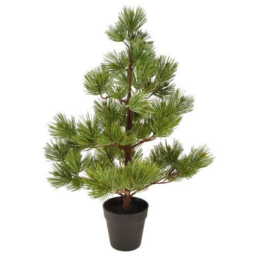 Floristik21 Künstliche Mini-Kiefer im Topf als Tisch-Weihnachtsbaum, Grün, H72cm