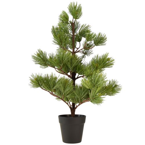 Floristik21 Künstliche Mini-Kiefer im Topf als Tisch-Weihnachtsbaum, Grün, H72cm