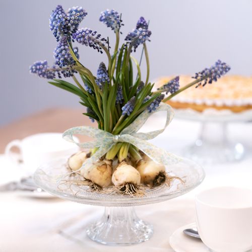 Artikel Glas-Tortenplatte auf Fuß, Ø 20cm - Elegante Kuchenpräsentation für Feiern und Events
