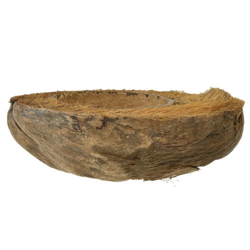 Artikel Kokosnuss als Pflanzschale Natur Pflanztopf 20cm 5 St