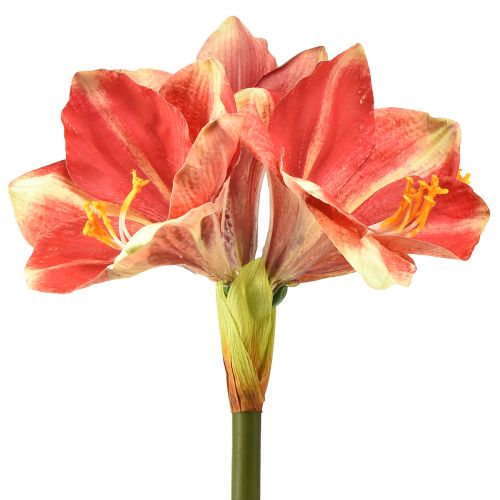 Floristik21 Künstliche Amaryllis Pink und Creme – Große Stielblume 76cm