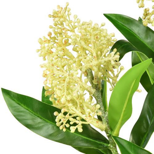 Artikel Künstliche Skimmia japonica Skimmie in Creme, 45cm Deko-Blumen Zweig 2er Set