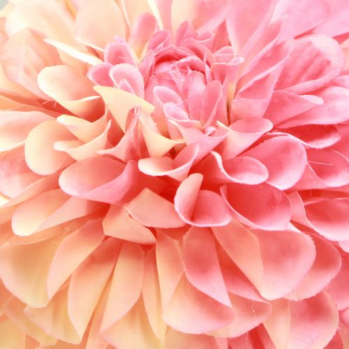 Artikel Künstliche Dahlien in Pfirsich Rosa Ø10cm L80cm 2er-Set – Dauerblüher für stilvolle Arrangements