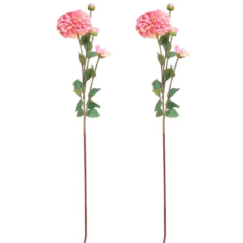 Artikel Künstliche Dahlien in Pfirsich Rosa Ø10cm L80cm 2er-Set – Dauerblüher für stilvolle Arrangements