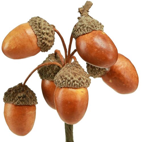 Floristik21 Künstliche Eicheln am Draht Deko für Herbstkranz 3cm 6 St