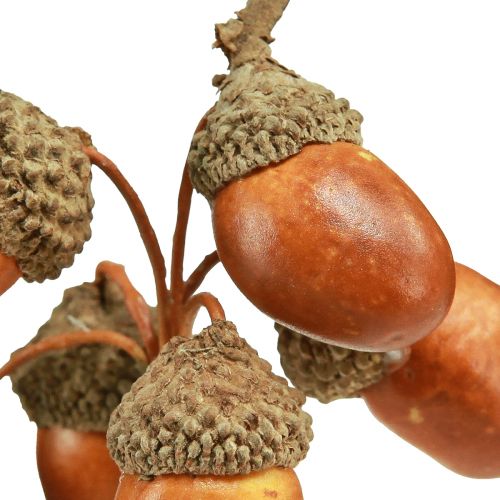 Floristik21 Künstliche Eicheln am Draht Deko für Herbstkranz 3cm 6 St