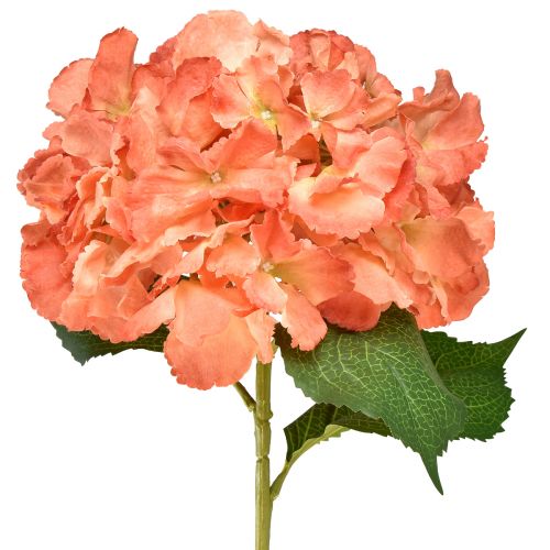Floristik21 Künstliche Hortensie Gigant Dekoblume Lachs Ø23cm L84cm – Echtwirkende Blumendeko