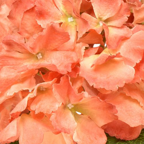 Artikel Künstliche Hortensie Gigant Dekoblume Lachs Ø23cm L84cm – Echtwirkende Blumendeko