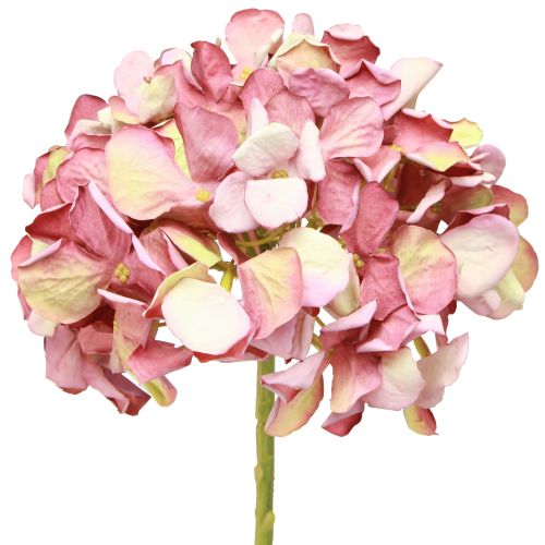 Floristik21 Künstliche Hortensie Groß Rosa Mauve Ø15cm L58cm Deko Blumenstrauß 2er-Set