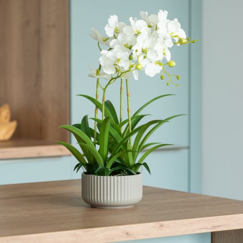 Floristik21 Künstliche Orchideen Kunstblumen im Topf Weiß 60cm