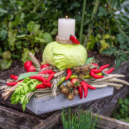 Artikel Künstliche Tomaten Deko Strauchtomaten Rot Ø6cm 5 Stück täuschend echt für Heim und Geschäft