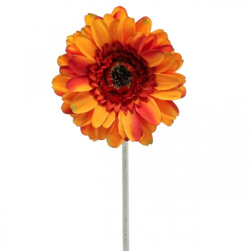 Floristik21 Künstliche Gerbera Blume, Kunstblume Orange Ø11cm 50cm