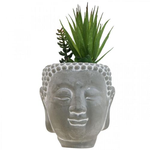 Floristik21 Künstliche Sukkulenten Blumentopf Buddha Ø12cm H25cm