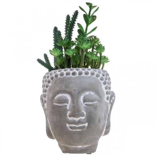 Floristik21 Künstliche Sukkulenten Blumentopf Buddha Ø12cm H24cm