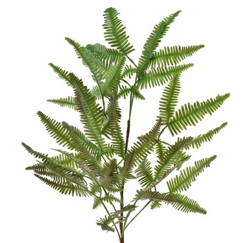 Floristik21 Künstlicher Farn Kunstpflanze Farnblätter Grün 44cm