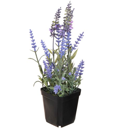 Floristik21 Künstlicher Lavendel im Topf 25cm - Deko Lavendelpflanze für Wohnzimmer & Büro