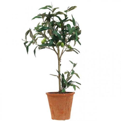 Floristik21 Künstlicher Olivenbaum im Topf Kunstpflanze Olive H63,5cm