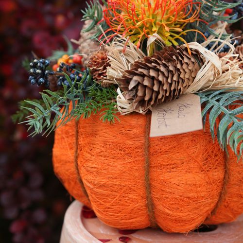 Artikel Kürbis Pflanztopf Orange/Gelbgrün aus Sisal Ø15cm H9cm