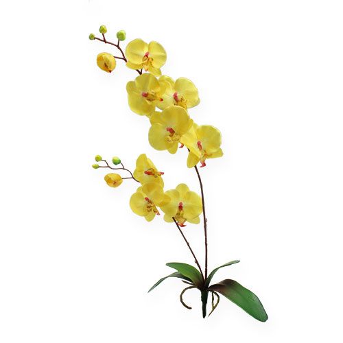 Orchideenzweige 6 Stück Gelb /& Creme 73 cm lang Kunstblumen künstliche Orchidee